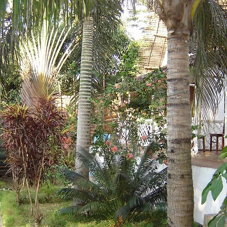 Hotel La Caravelle Ambatoloaka  Zewnętrze zdjęcie